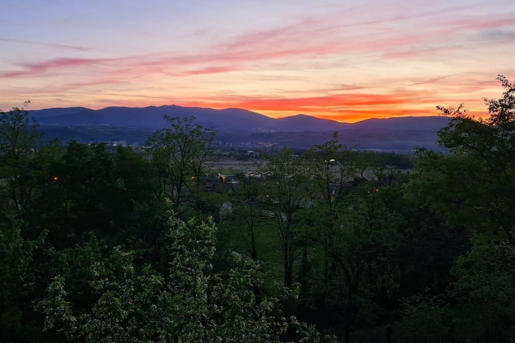 Gite De 70M² Avec Vue Sur Le Massif Du Pilat Clonas-sur-Vareze Dış mekan fotoğraf