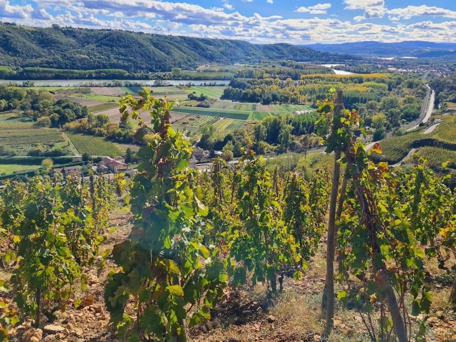 Gite De 70M² Avec Vue Sur Le Massif Du Pilat Clonas-sur-Vareze Dış mekan fotoğraf