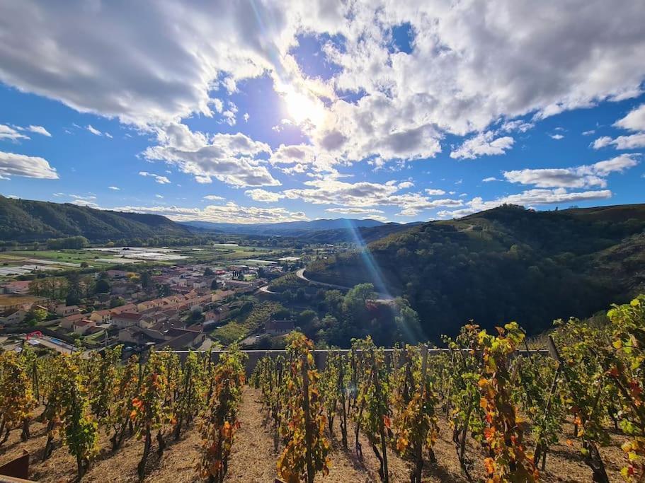 Gite De 70M² Avec Vue Sur Le Massif Du Pilat Clonas-sur-Vareze Dış mekan fotoğraf